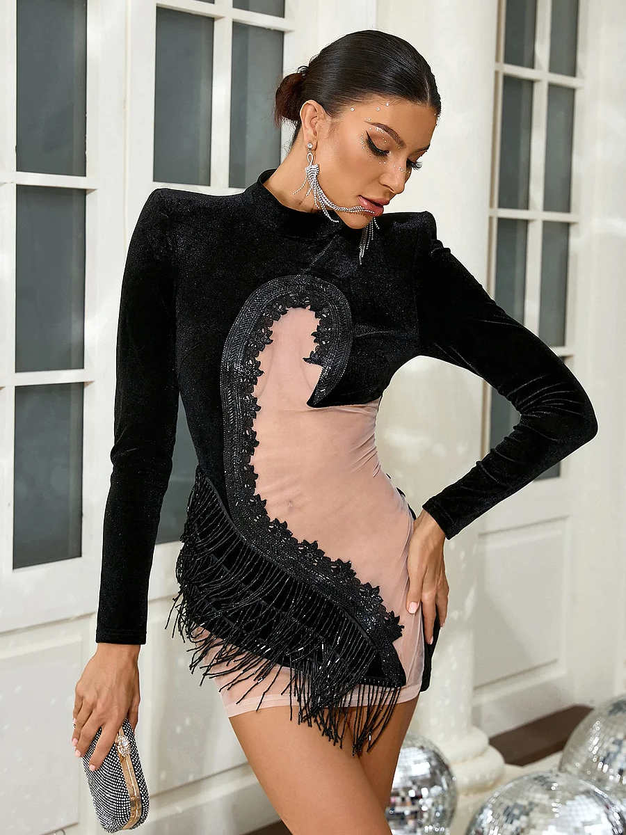 Black Swan Rhinestone Beaded Fringe Dress